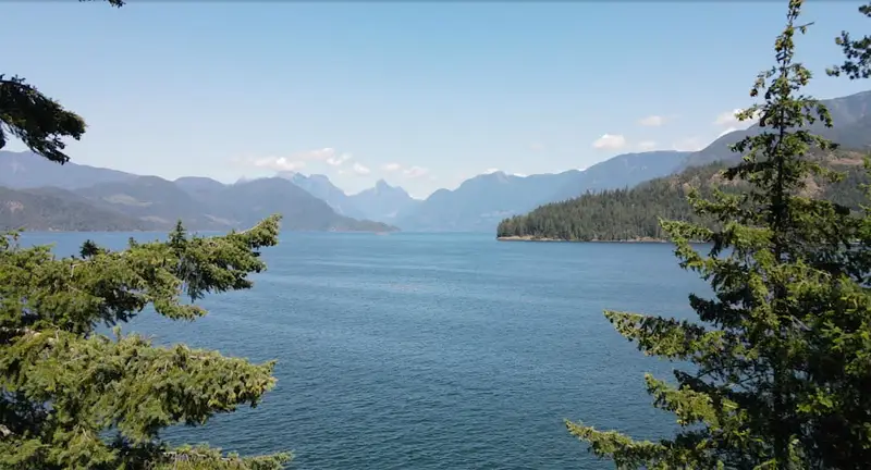 6290 MAPLE ROAD - photo 1 of 25