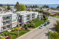 402 1220 FIR STREET - thumbnail 34