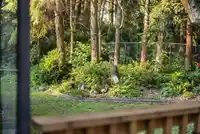 15951 ALDER PLACE - thumbnail 33