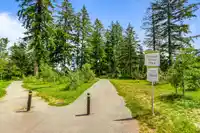 13 16589 25 AVENUE - thumbnail 39