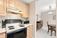 203 1840 E SOUTHMERE CRESCENT - thumbnail 8