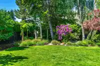 3155 142 STREET - thumbnail 37