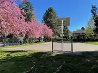15863 ALDER PLACE - thumbnail 29