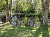 15863 ALDER PLACE - thumbnail 31