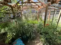 15970 THRIFT AVENUE - thumbnail 17