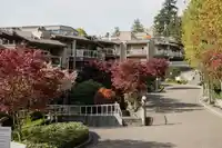 102 15025 VICTORIA AVENUE - thumbnail 21