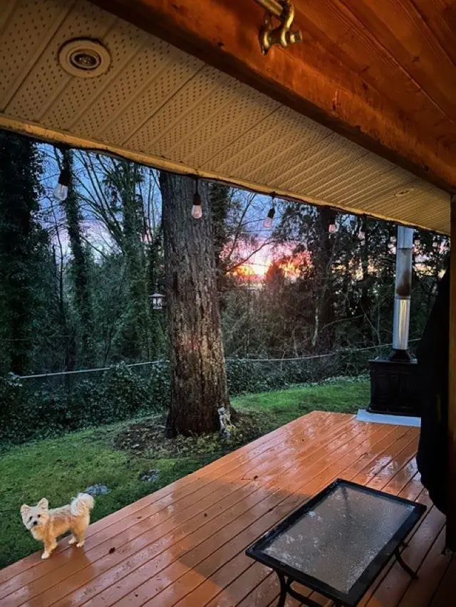 10987 COLLINGS PLACE - photo 3 of 7