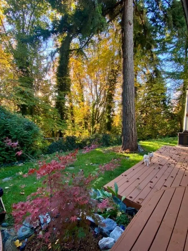 10987 COLLINGS PLACE - photo 4 of 7