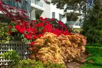 101 1785 MARTIN DRIVE - thumbnail 3