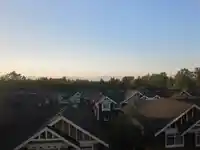11 2955 156 STREET - thumbnail 20