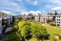 426 15137 33 AVENUE - thumbnail 23