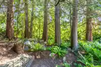 3 1660 148 STREET - thumbnail 26