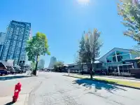 303 1588 JOHNSTON ROAD - thumbnail 38