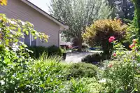 880 164A STREET - thumbnail 38