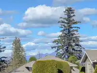16 2672 151 STREET - thumbnail 2