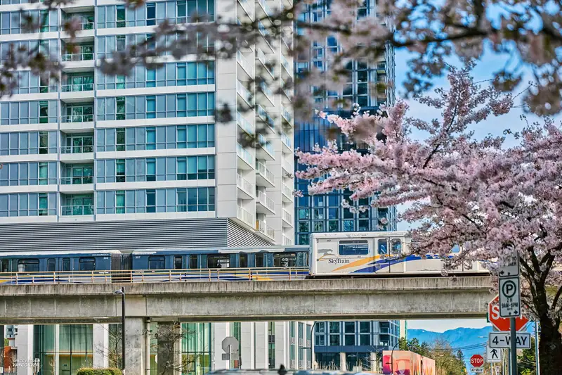 3706 6087 WILSON AVENUE - photo 3 of 25