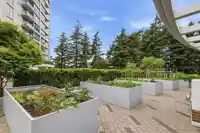 902 15165 THRIFT AVENUE - thumbnail 37