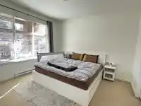 213 2855 156 STREET - thumbnail 3