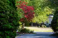 14387 24A AVENUE - thumbnail 5