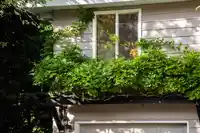 14387 24A AVENUE - thumbnail 6