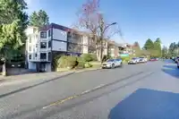 208 1521 BLACKWOOD STREET - thumbnail 2