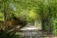 66 3039 156 STREET - thumbnail 27