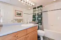 305 1725 128 STREET - thumbnail 25
