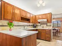 46 1725 SOUTHMERE CRESCENT - thumbnail 13