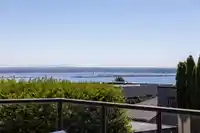 15354 ROYAL AVENUE - thumbnail 10
