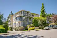 301 1459 BLACKWOOD STREET - thumbnail 1
