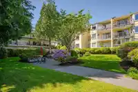301 1459 BLACKWOOD STREET - thumbnail 31