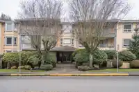 301 1459 BLACKWOOD STREET - thumbnail 32