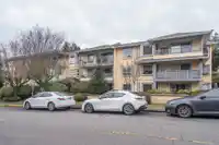 301 1459 BLACKWOOD STREET - thumbnail 33