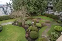 301 1459 BLACKWOOD STREET - thumbnail 10