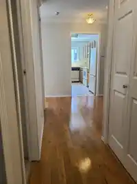 111 1521 BLACKWOOD STREET - thumbnail 24