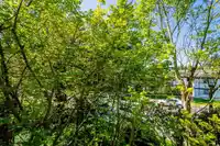 206 15020 NORTH BLUFF ROAD - thumbnail 15