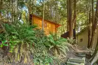 2722 BAYVIEW STREET - thumbnail 32