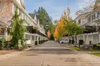 50 288 171 STREET - thumbnail 38