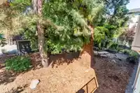 14 277 171 STREET - thumbnail 11