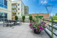 206 15775 CROYDON DRIVE - thumbnail 27