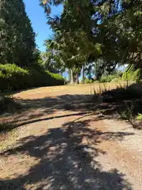 13005 CRESCENT ROAD - thumbnail 4