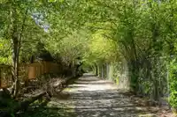 65 3039 156 STREET - thumbnail 38