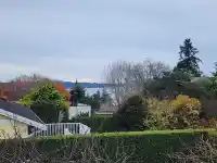 15862 CLIFF AVENUE - thumbnail 3