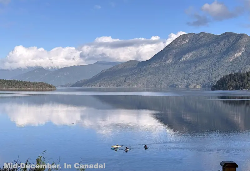 6560 N GALE AVENUE - photo 3 of 25