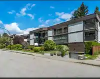 105 1520 VIDAL STREET - thumbnail 2