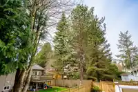 13560 15A AVENUE - thumbnail 12