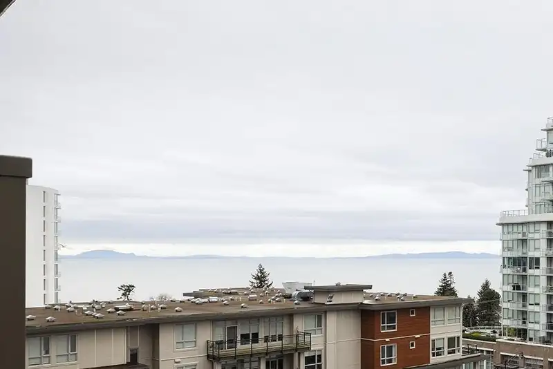 901 1455 GEORGE STREET - photo 1 of 25