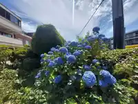 205 1448 FIR STREET - thumbnail 4