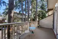 26 2678 KING GEORGE BOULEVARD - thumbnail 31