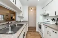 203 15991 THRIFT AVENUE - thumbnail 4
